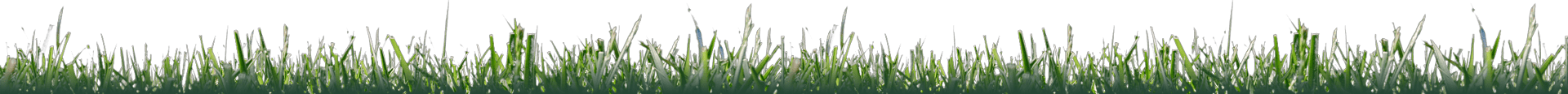 landscape-maintenance-37